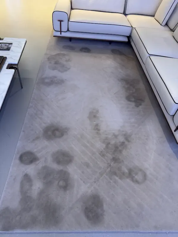 Stained carpet before cleaning