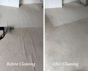 Gallery dry carpet cleaning before and after