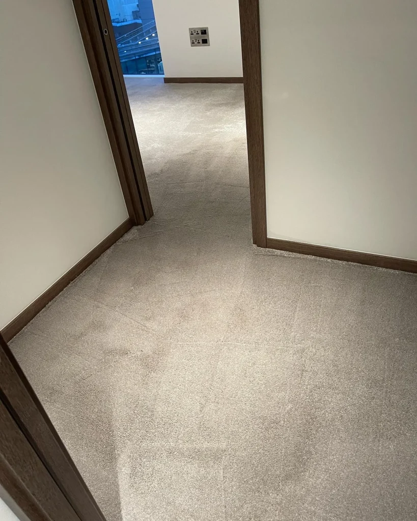 certified Carpet Cleaner In London