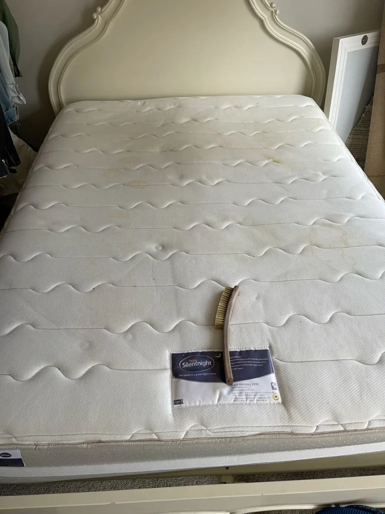 Professional Mattress Cleaning Service London