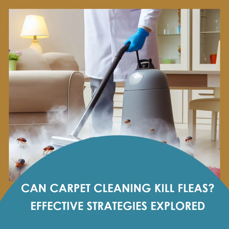 Can Carpet Cleaning Kill Fleas? Effective Strategies Explored