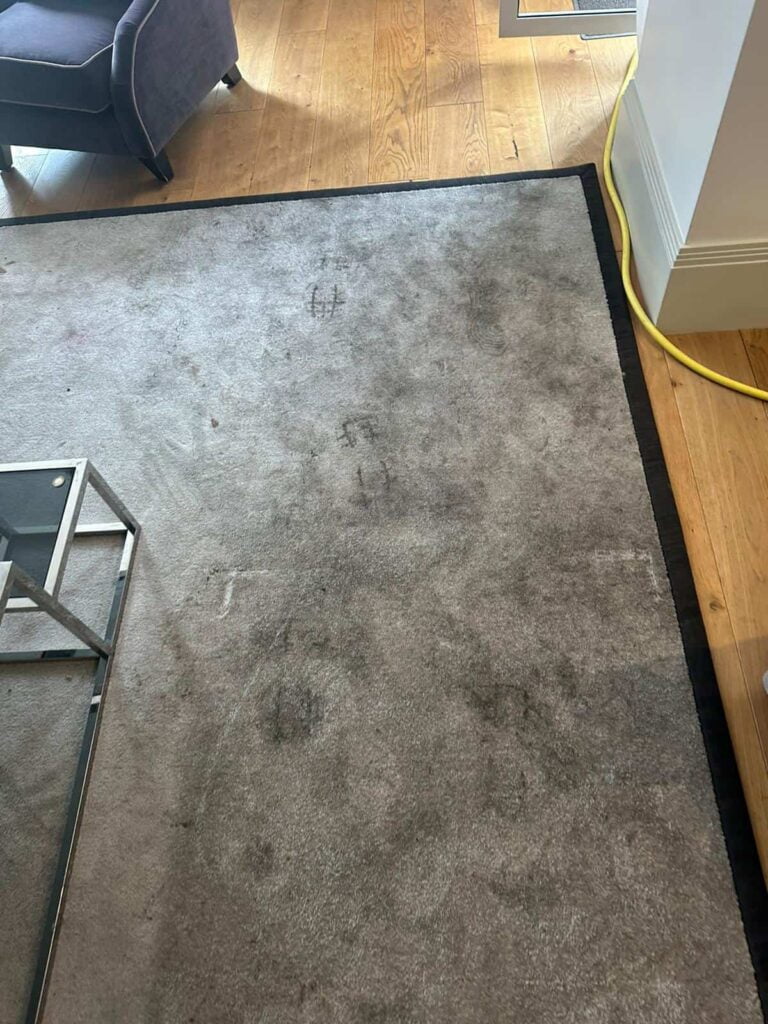Rug Cleaning London 4 Seasons Carpet Clean