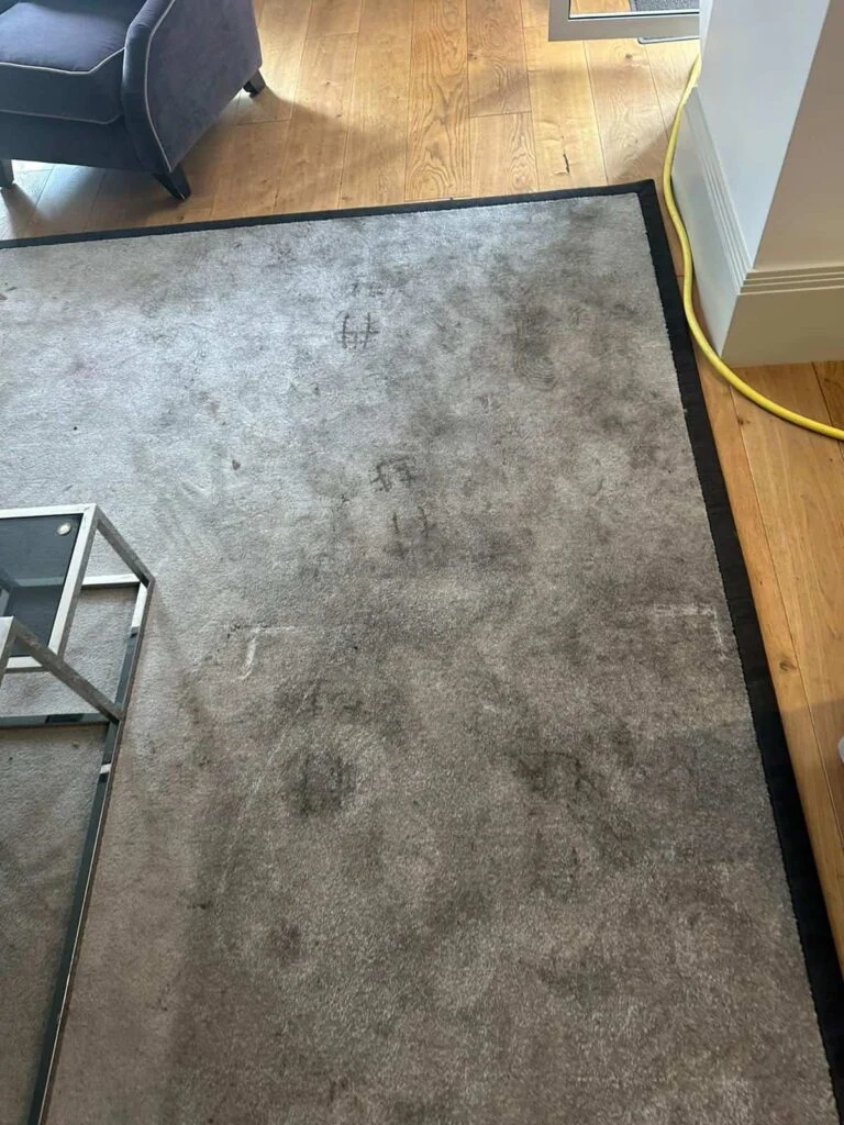 Premium Rug Cleaning In London 5 Rug Cleaning London 4 Seasons Carpet Clean