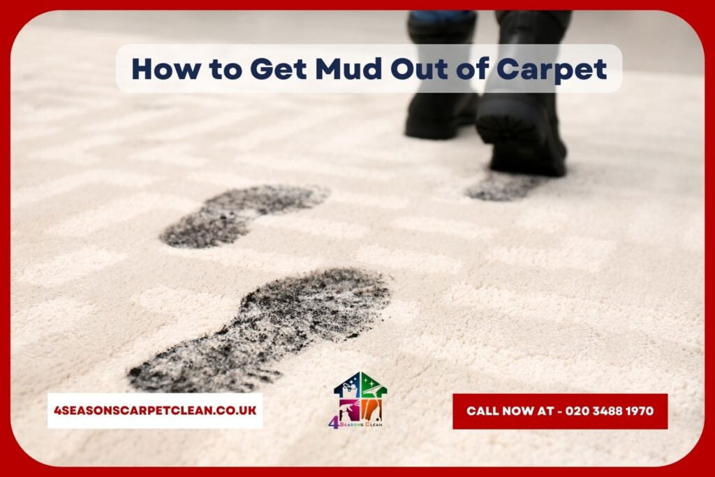 Ultimate Guide to Cleaning the Most Common Carpet Stains