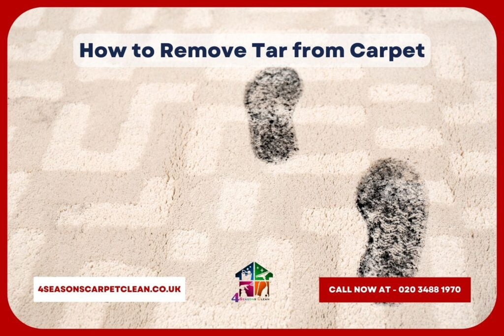 Ultimate Guide to Cleaning the Most Common Carpet Stains