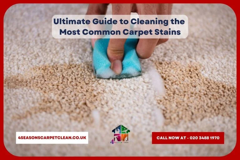 Ultimate Guide to Cleaning the Most Common Carpet Stains