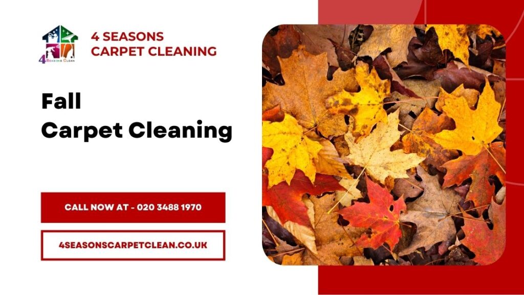 Seasonal Carpet Cleaning - Fall