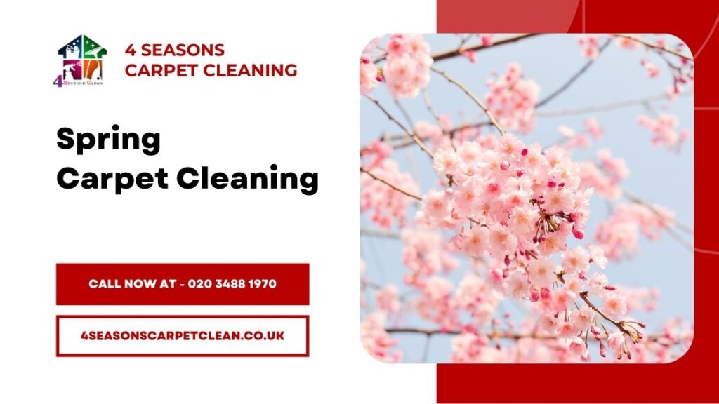 Seasonal Carpet Cleaning - Spring