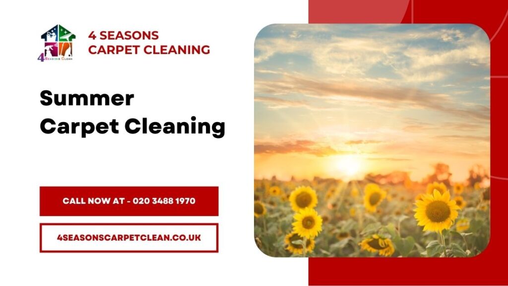 Seasonal Carpet Cleaning - Summer