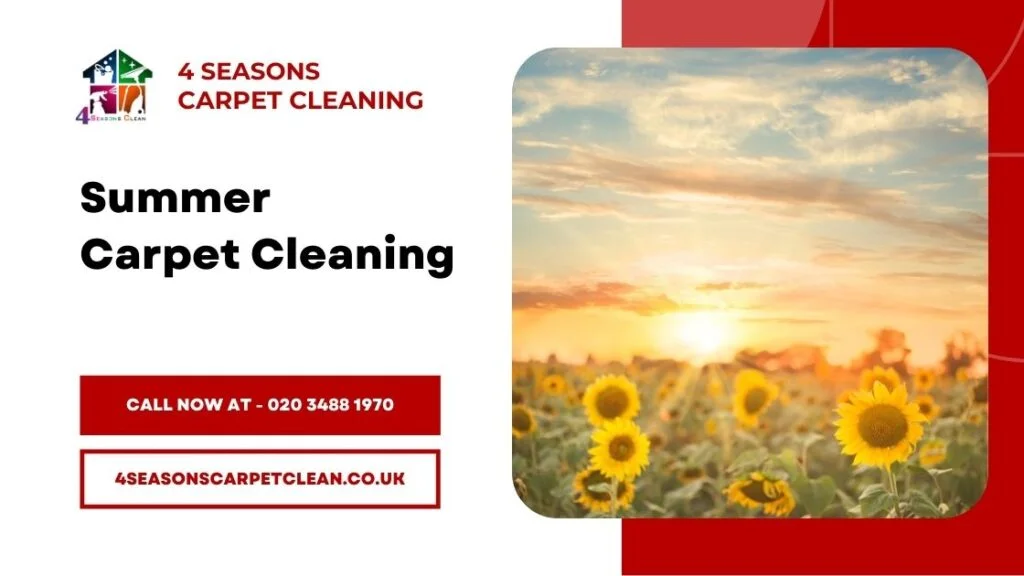 Seasonal Carpet Cleaning - Summer