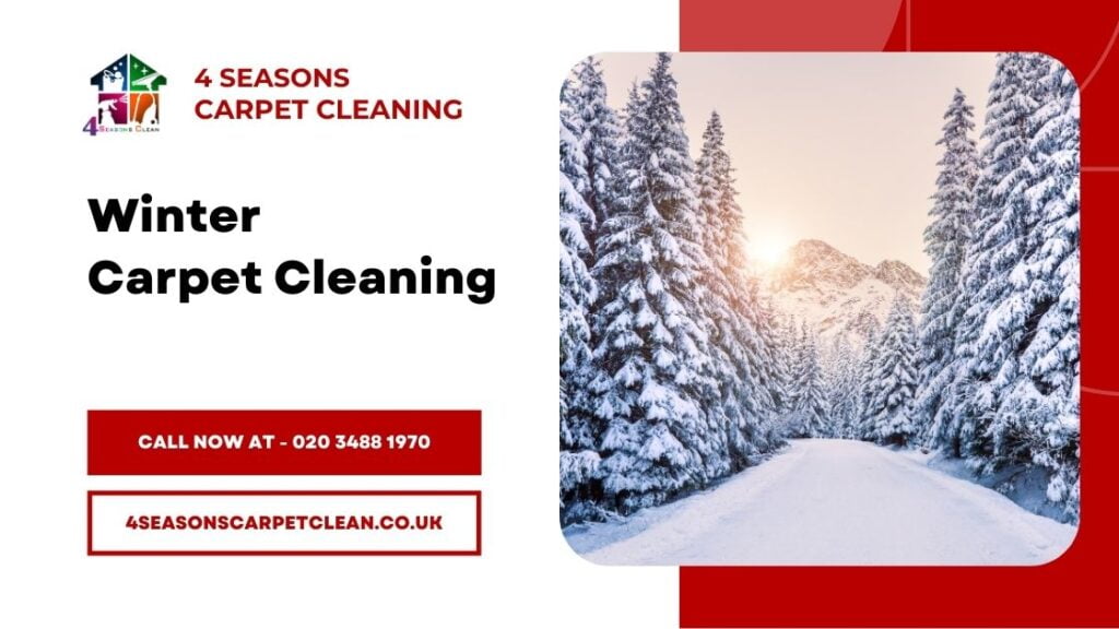 Seasonal Carpet Cleaning - Winter