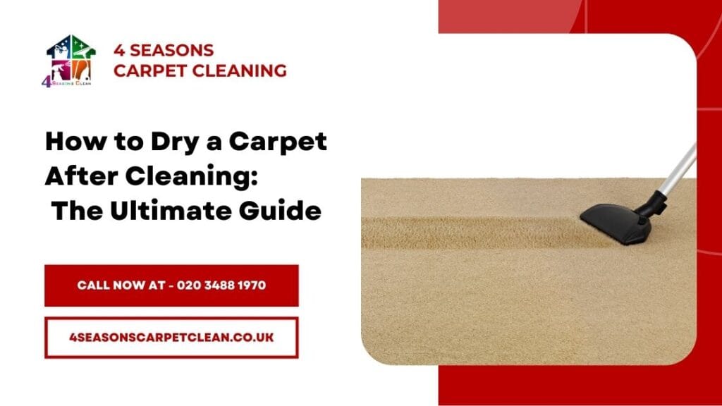 Professional Carpet Cleaning Drying