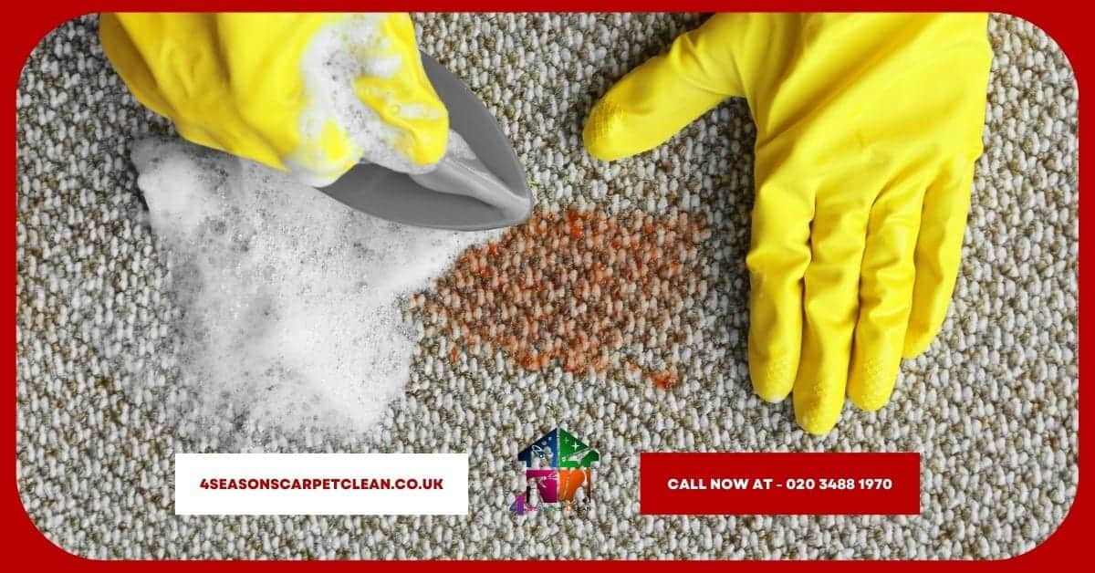 Is it Better to Shampoo or Steam Clean Carpets? | 4 Seasons Carpet Clean