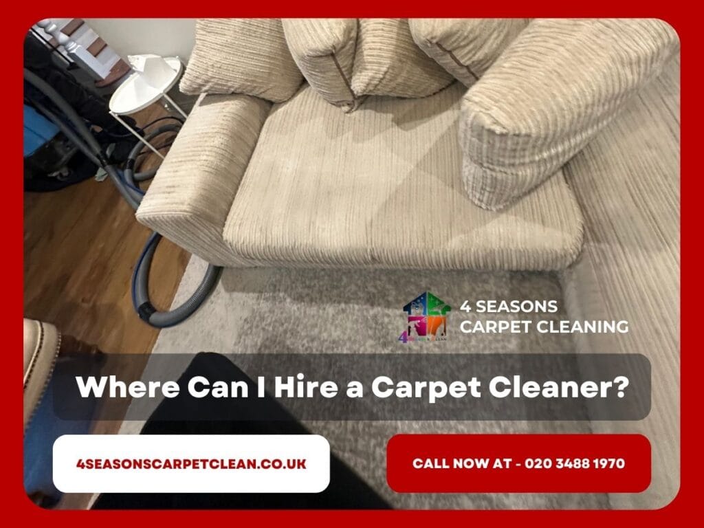 Where Can I Hire a Carpet  Cleaner