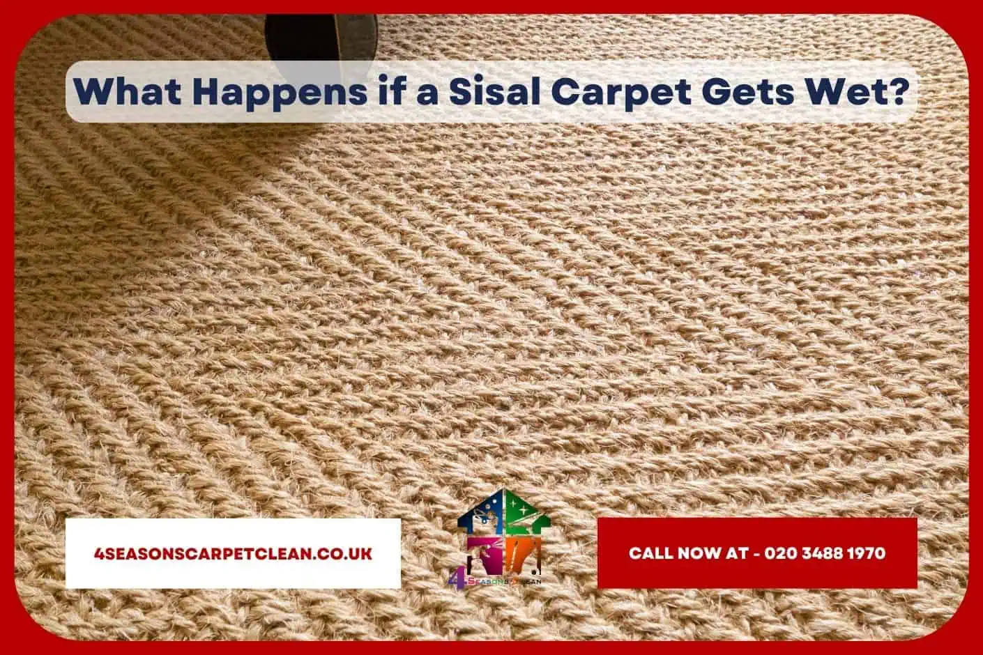 What Happens if a Sisal Carpet Gets Wet