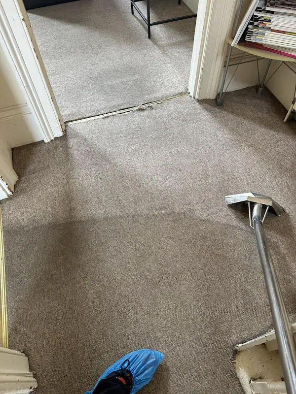 carpet cleaning in london 4 seasons carpet clean