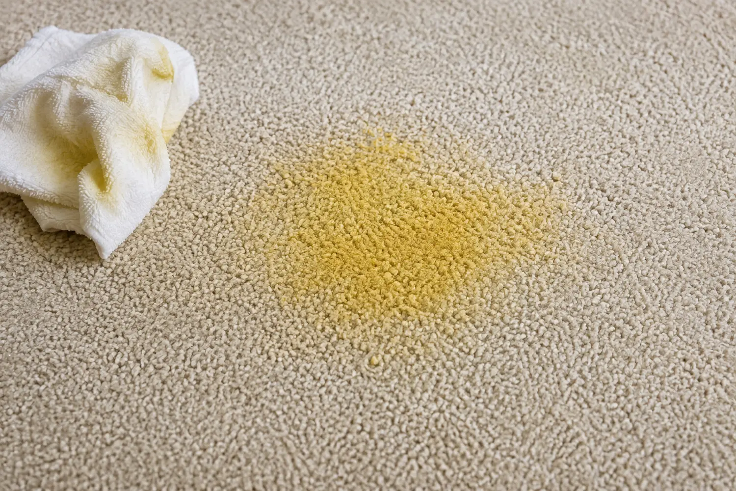 Close-up of a yellow curry and turmeric stain left on a beige carpet after unsuccessful cleaning
